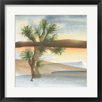 Desert Joshua Tree Framed Print