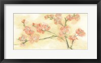 Framed Tinted Blossoms II