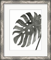 Framed 'Tropical Palm IV BW' border=