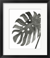 Framed 'Tropical Palm IV BW' border=