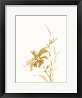 Framed Sumi Daylily IV Gold