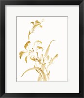 Framed Sumi Daylily II Gold