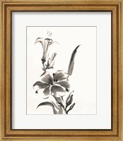 Framed 'Sumi Daylily III' border=