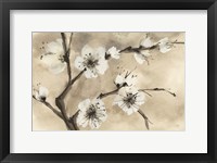 Spring Blossoms IV Framed Print