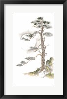 Framed Moon Pine on White