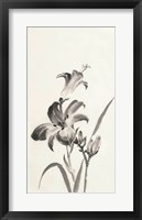 Sumi Daylily I Framed Print