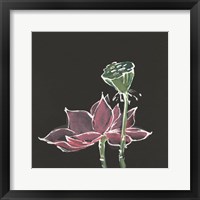 Framed 'Lotus on Black III' border=