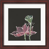 Framed 'Lotus on Black III' border=