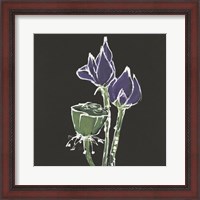 Framed 'Lotus on Black II' border=