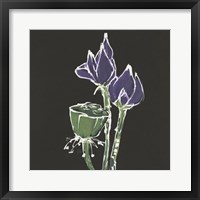 Lotus on Black II Framed Print