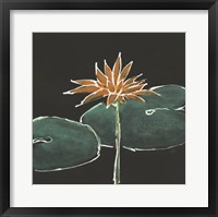 Lily on Black VI Framed Print