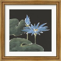 Framed 'Lily on Black V' border=