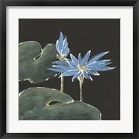 Framed 'Lily on Black V' border=