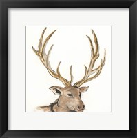 Framed Gilded Elk