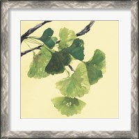 Framed 'Gingko Leaves I Dark' border=