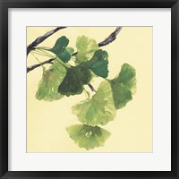 Framed Gingko Leaves I Dark