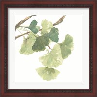 Framed 'Gingko Leaves I on White' border=