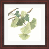 Framed 'Gingko Leaves I on White' border=