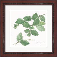 Framed 'Oregano' border=