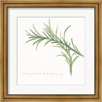 Framed 'Variegated Rosemary II' border=