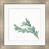 Framed 'Rosemary II' border=