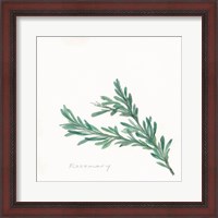 Framed 'Rosemary II' border=