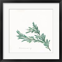 Rosemary II Framed Print