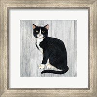 Framed 'Country Kitty I on Wood' border=