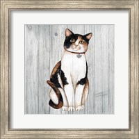 Framed 'Country Kitty III on Wood' border=