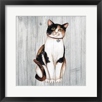 Framed 'Country Kitty III on Wood' border=