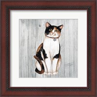 Framed 'Country Kitty III on Wood' border=