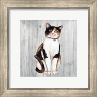 Framed 'Country Kitty III on Wood' border=