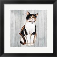 Framed 'Country Kitty III on Wood' border=