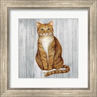 Framed 'Country Kitty II on Wood' border=