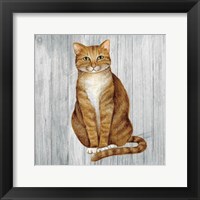 Framed Country Kitty II on Wood