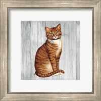 Framed 'Country Kitty IV on Wood' border=