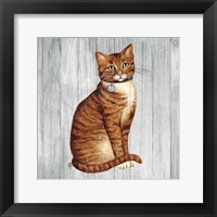 Country Kitty IV on Wood Framed Print