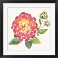 Framed 'Tropical Fun Flowers II' border=