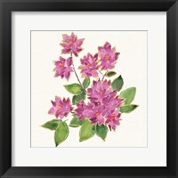 Framed 'Tropical Fun Flowers IV' border=