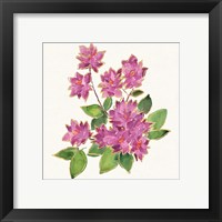 Framed 'Tropical Fun Flowers IV' border=