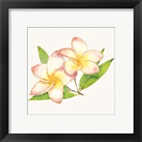 Framed 'Tropical Fun Flowers I' border=