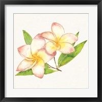 Framed 'Tropical Fun Flowers I' border=