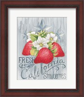 Framed 'American Berries I' border=