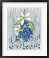 American Berries IV Framed Print