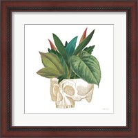 Framed 'Brainstem II' border=