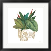 Framed 'Brainstem II' border=