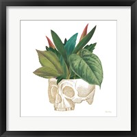 Framed 'Brainstem II' border=