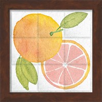 Framed 'Citrus Tile VIII' border=