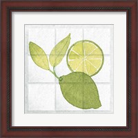 Framed 'Citrus Tile VII' border=