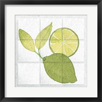 Framed Citrus Tile VII